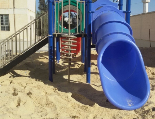 Asma Bent Amees School